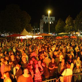 Festival Crowd